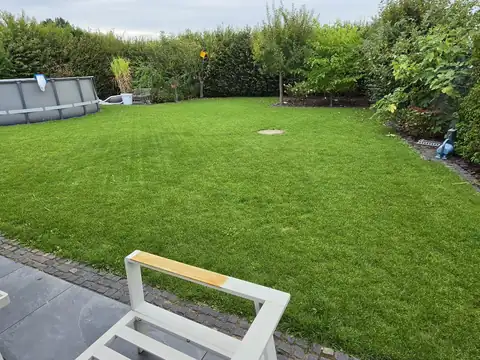 Gepflegter Rasen mit Hecke