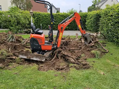 Wurzelstock-Entfernung mit dem Minibagger