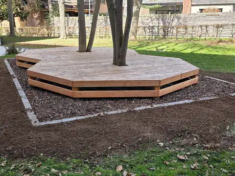 Gestaltete Fläche mit Holzplateau unter Bäumen
